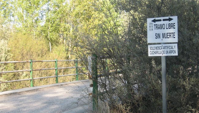 tramo libre río ucero