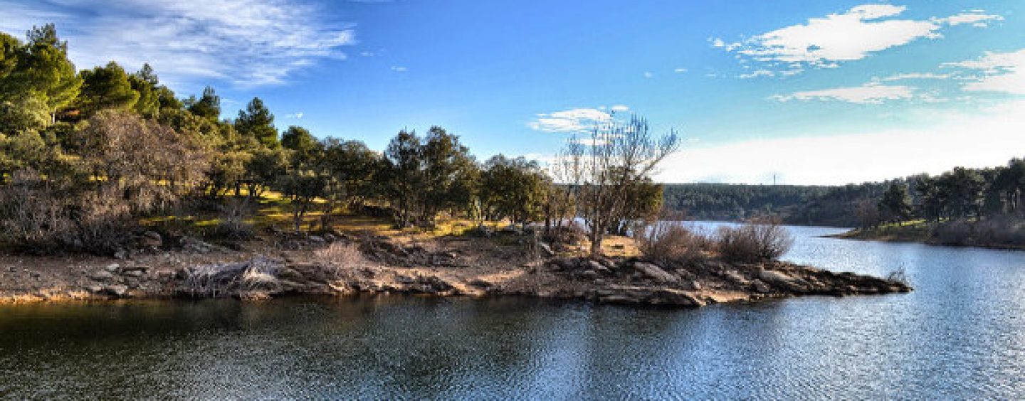 Embalse de Puentes Viejas un buen lugar para la pesca de barbos a mosca en la Comunidad de Madrid