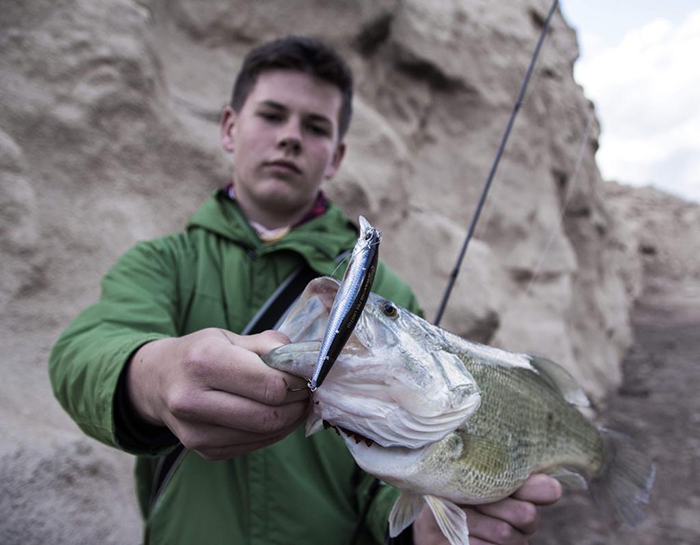 colores de los señuelos de pesca
