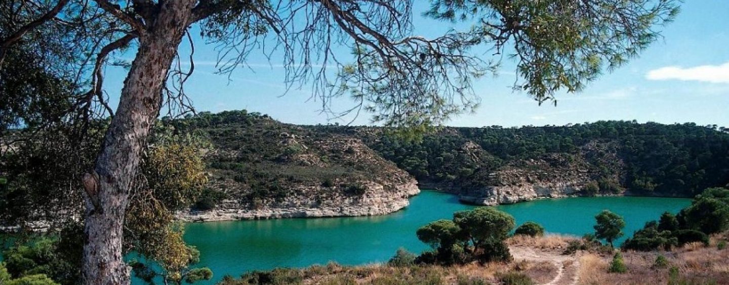 Pescar en el Ebro: Embalse de Mequinenza o Mar de Aragón