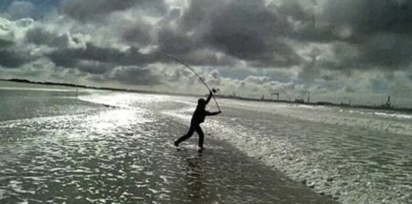 Pesca surfcasting en invierno es duro pero con buenas piezas