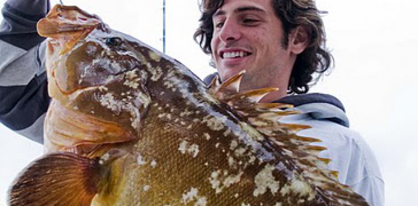 Pesca curricán costero, curri, currica