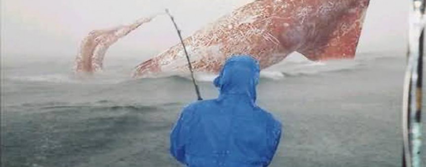 reporte Antología deberes Un poco de tinta, en la pesca del calamar | Revista de pesca deportiva –  Coto de PeZca