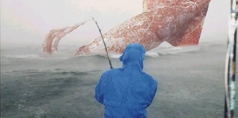 Un poco de tinta, en la pesca del calamar