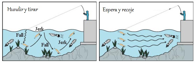 pesca del calamar