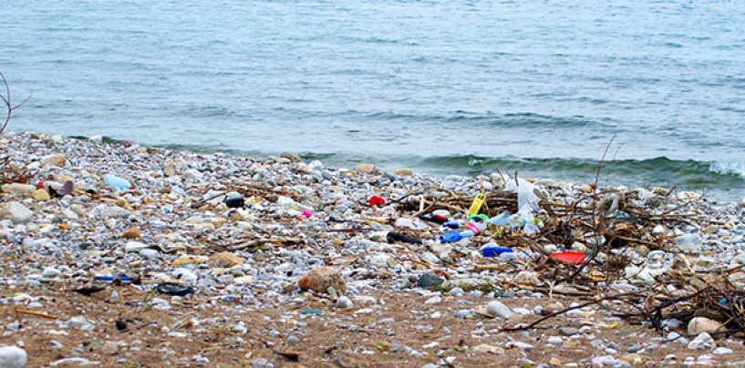 Basura en los lugares de pesca ¿Y tú qué haces?