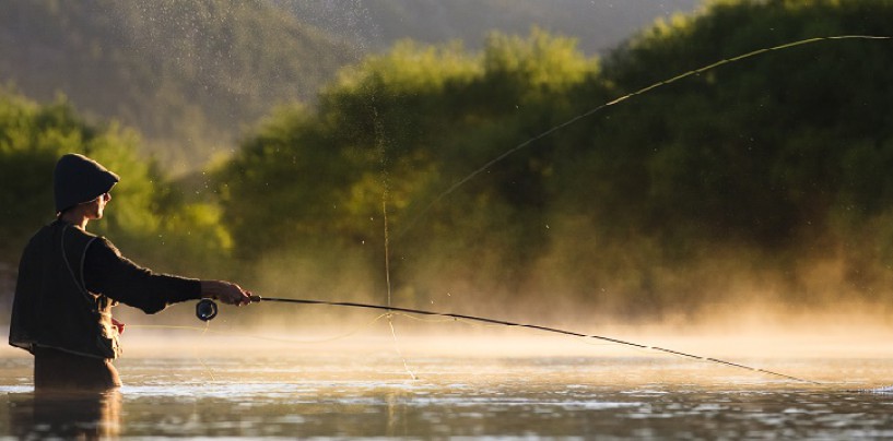 ¡Pesca a mosca con Caddis cola roja!