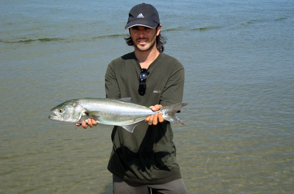 pesca de la anjova a surfcasting