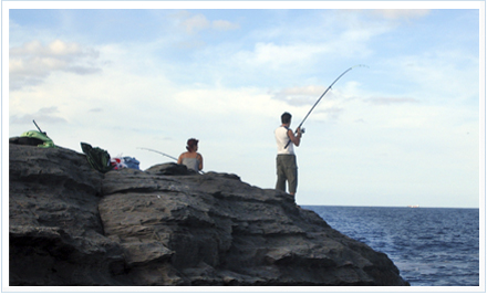 Topicos de la pesca deportiva