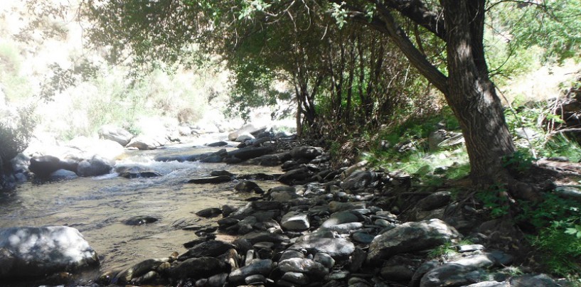 Pescando en el coto del río Genillos Sierra Nevada