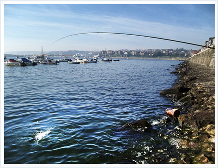 acción de pesca caña Okuma Bolognese