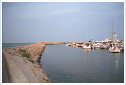 Muelle en donde poder pescar anguilas