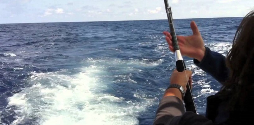 Embarcados tras la pesca del bonito, diversión a tutiplén