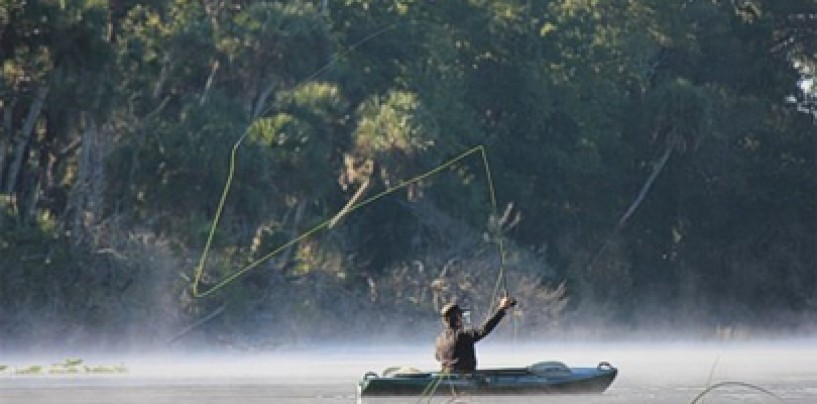 Pesca de lubina desde kayak de pesca, ¿misión imposible?