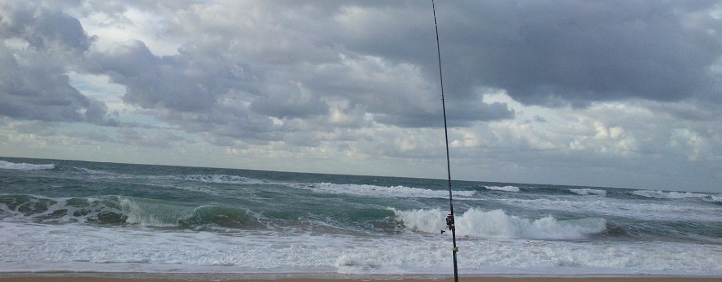 5 consejos para sacar el máximo a tu jornada de surfcasting