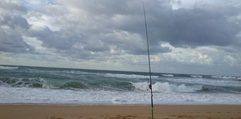 5 consejos para sacar el máximo a tu jornada de surfcasting