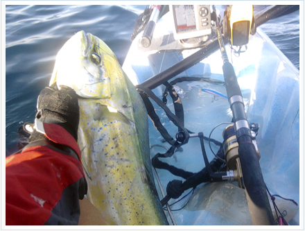 Pesca llampugas de kayak de pesca a currican