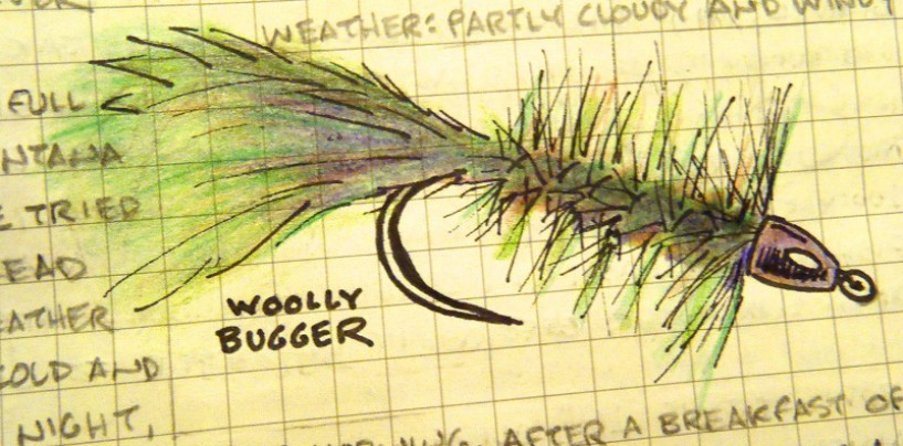 Mosca Woolly Bugger, la mosca más polivalente