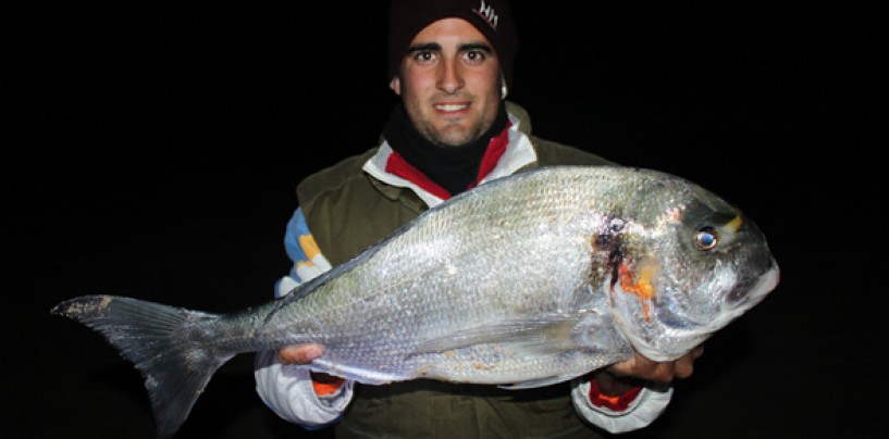 Encuentro Digital sobre la pesca a surfcasting de doradas con Roque Navarro