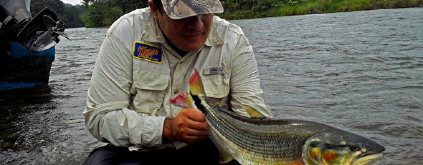 Las fotos de pesca ganadoras del concurso El PeZcador de la semana