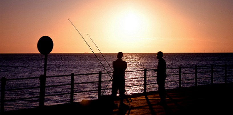 Iniciación a la pesca del calamar y del chipirón