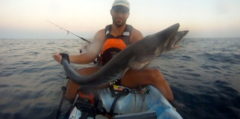 Bestias del Mediterráneo: pesca de barracudas XXL desde kayak