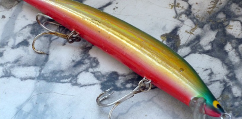 El color de los señuelos artificiales de pesca: el misterio de la panza roja