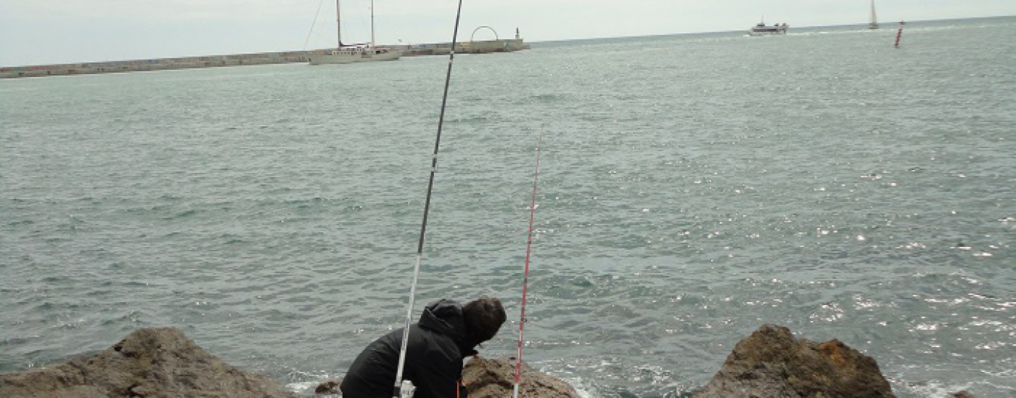 Las claves para la pesca a fondo de la lubina en el Mediterráneo