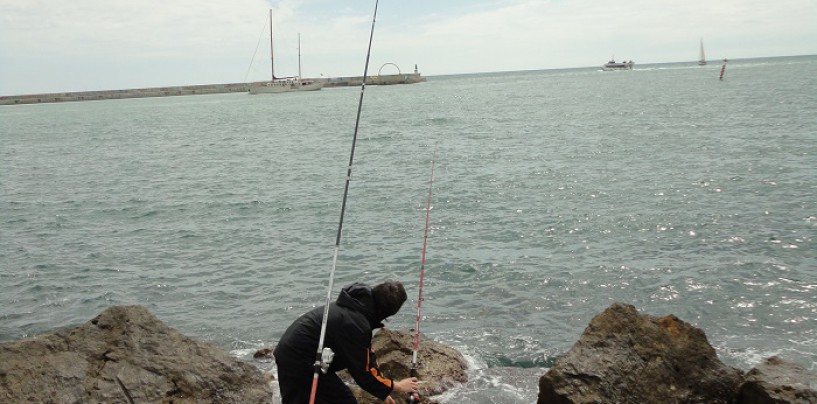 Las claves para la pesca a fondo de la lubina en el Mediterráneo