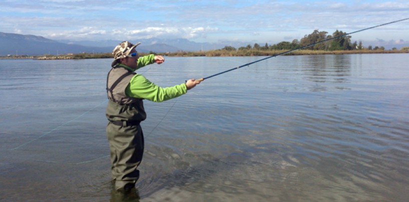 4 Consejos para la pesca a mosca de lubinas