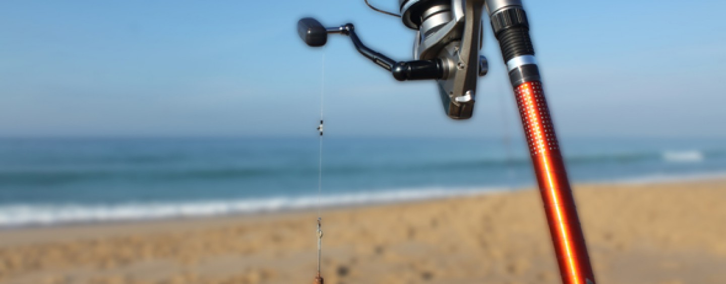 ¿Conoces las claves para pescar lubinas a surfcasting?