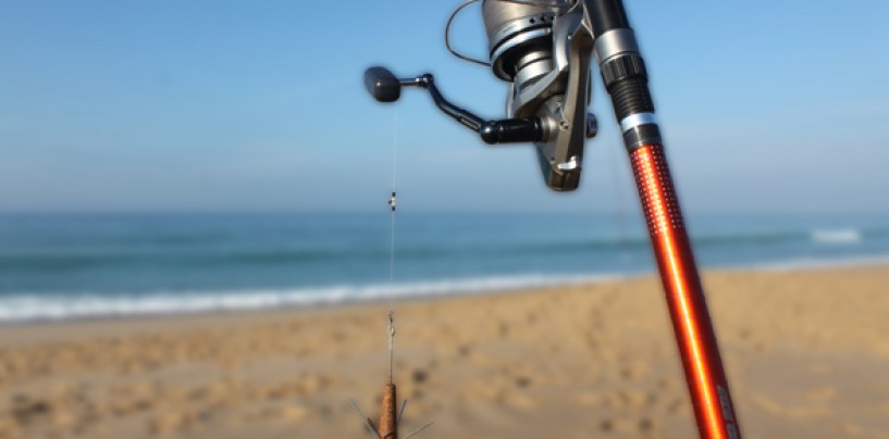 ¿Conoces las claves para pescar lubinas a surfcasting?