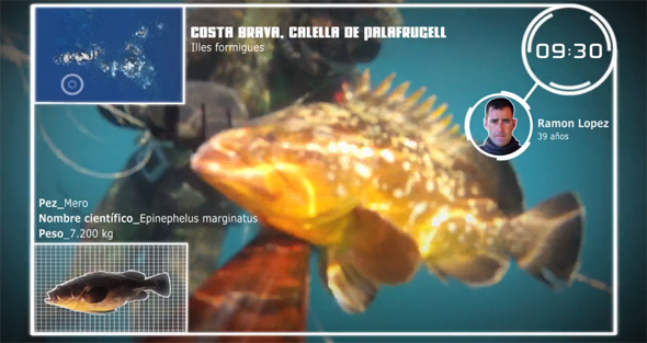 Fotograma del vídeo de pesca "Engañando meros en la Costa Brava"