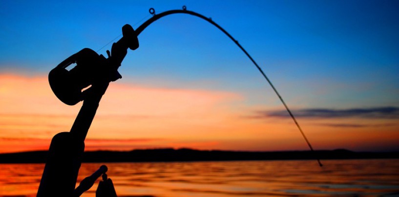 ¿Cómo iniciarse en la pesca con profundizador o «Drownriger»? ¿Por qué se pesca más con profundizador?
