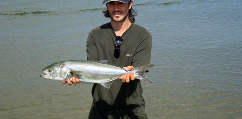 8 lugares donde pescar a surfcasting en Cataluña