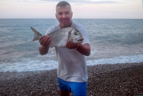 Dorada capturada a surfcasting en Cataluña