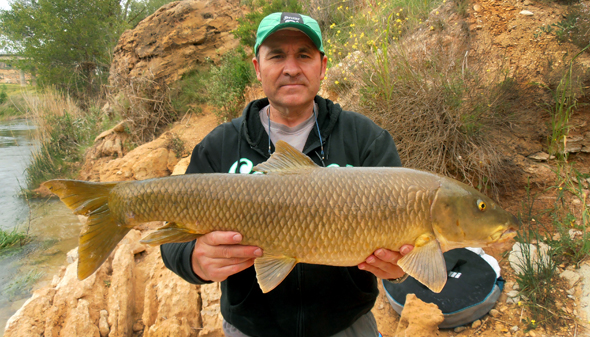 Barbo de 6kg capturado por Josan Illescas, su récord personal.