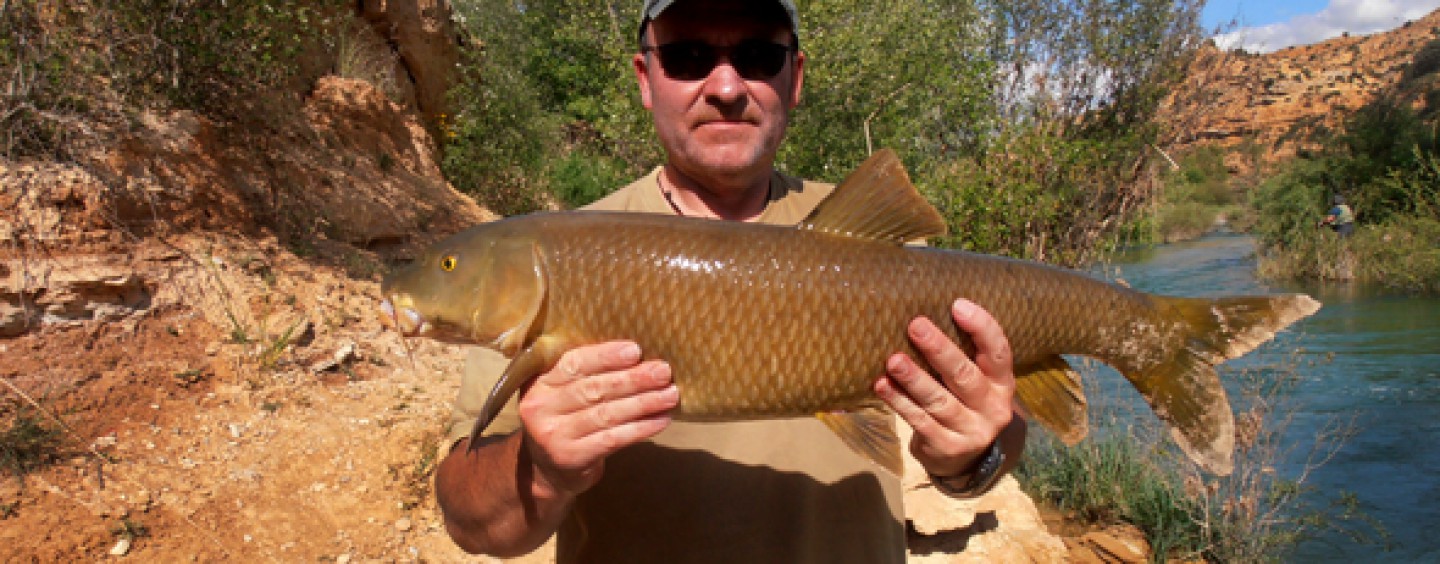 Río Guadiela, paraíso para la pesca del barbo