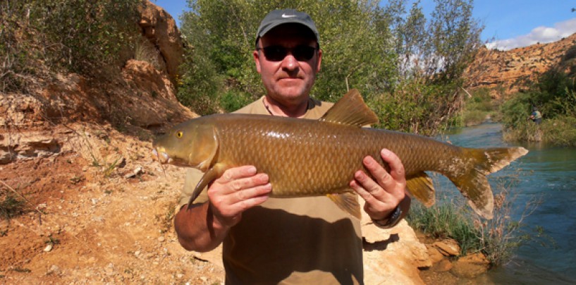 Río Guadiela, paraíso para la pesca del barbo