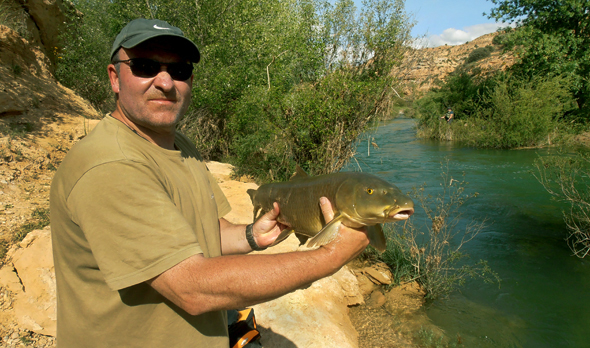 Barbo capturado por Josan Illescas en el río Guadiela.