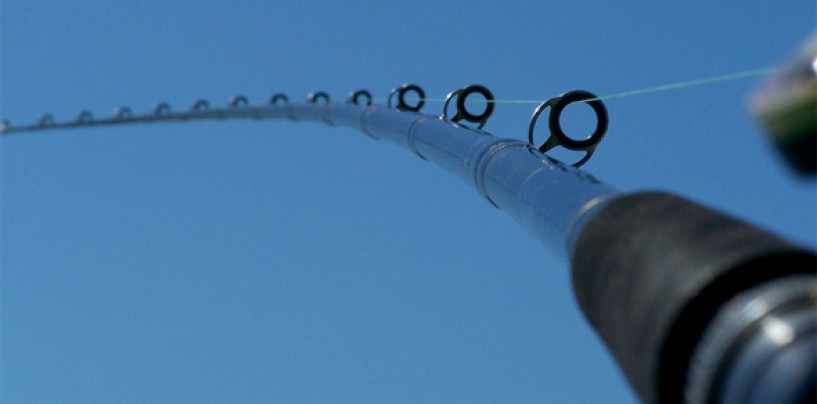 Brico-pesca: reparación de las anillas de la caña