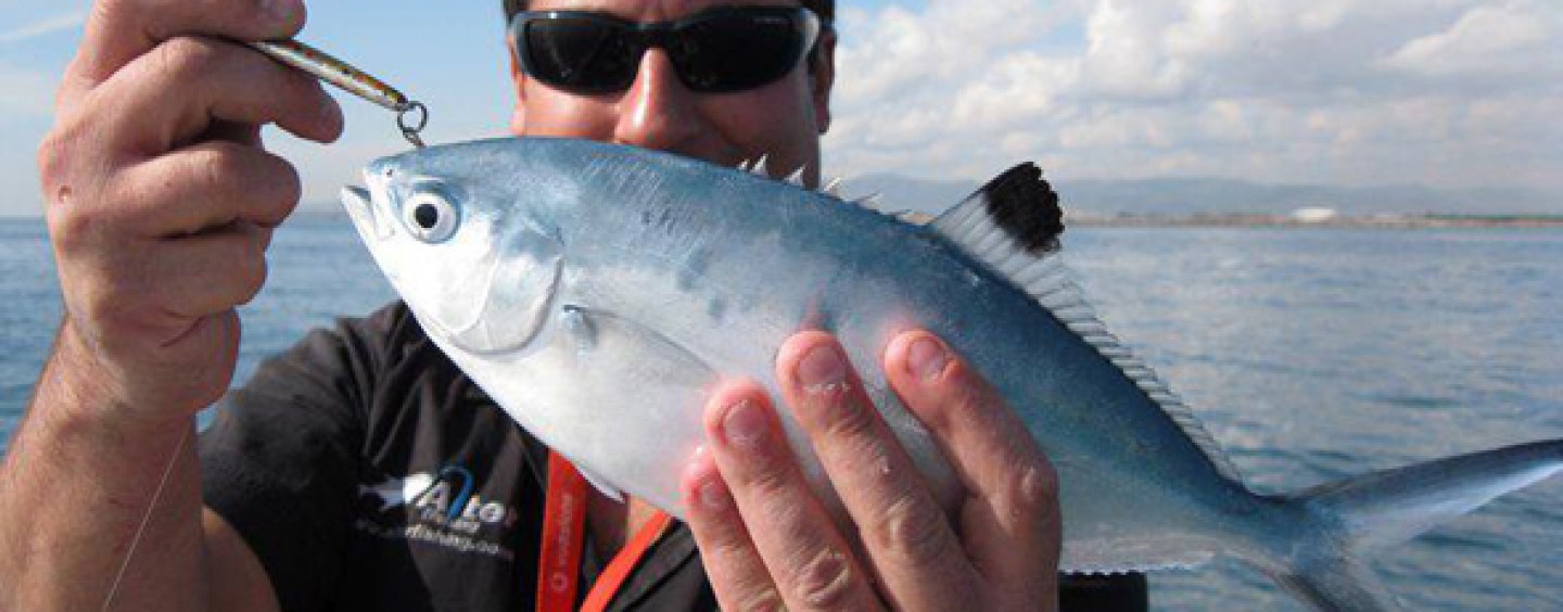 5 especies que pescar en verano
