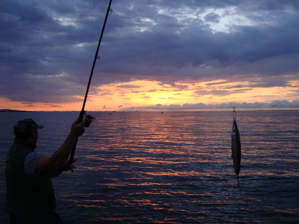 Pescar en verano