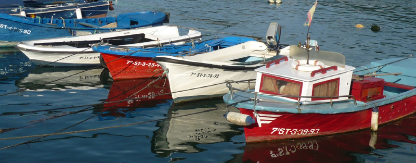 Pesca portuaria: razones para una sinrazón