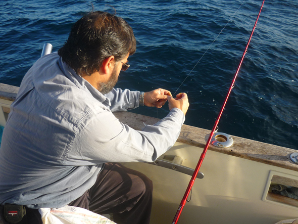 pescando julia o doncella