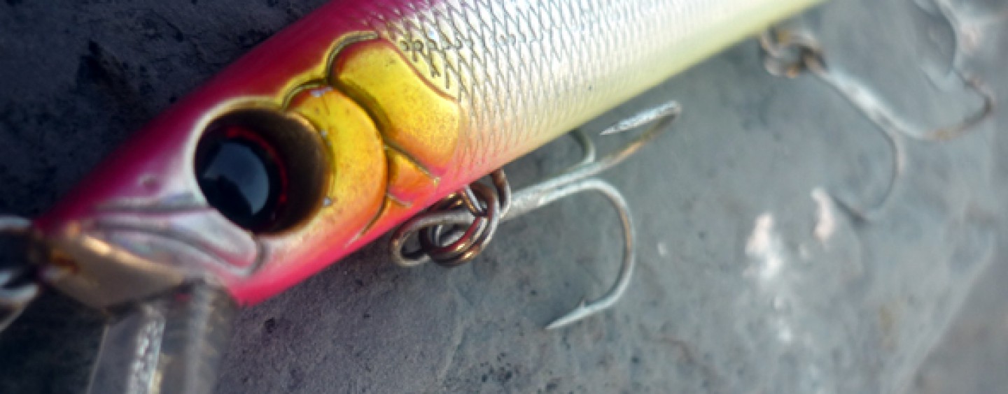 Cortar Resolver Carnicero Señuelo Westlab Bakuba: ¿hijo de un Dios menor? | Revista de pesca deportiva – Coto de PeZca Cortar Resolver Carnicero Señuelo Westlab Bakuba: ¿hijo de un Dios menor? | Revista de pesca deportiva – Coto de PeZca