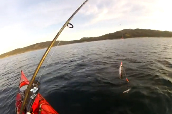 fotograma del vídeo de pesca Océanos de libertad