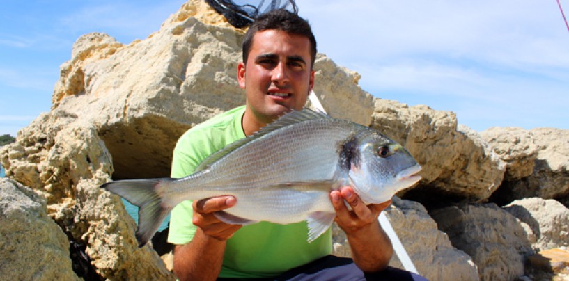 5 claves para pescar doradas en el crudo verano