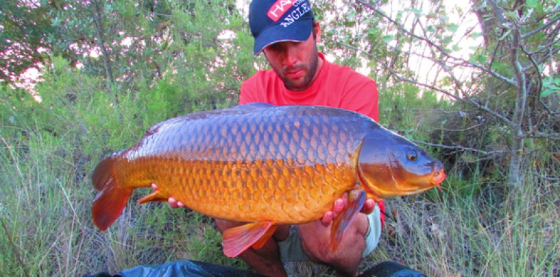 12 horas de carpfishing en verano, aquel año