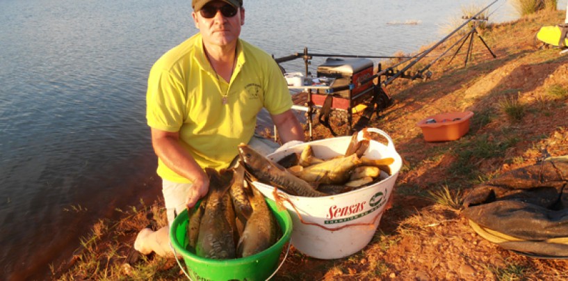 Pesca a la inglesa de carpas para principiantes. Material y cebos